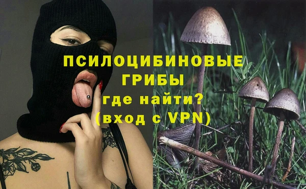 гидра Арсеньев