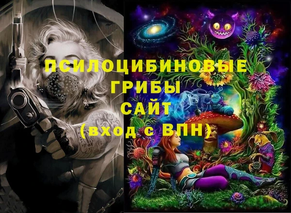 бошки Аркадак