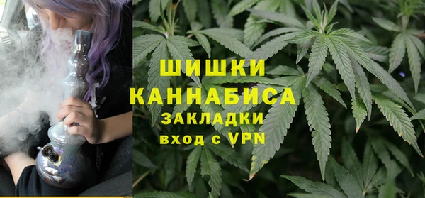 гидра Арсеньев