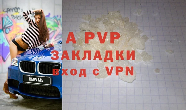 гидра Арсеньев