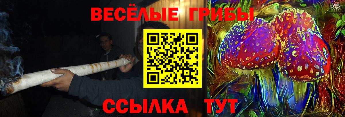 Похвистнево  Галлюциногенные грибы Psilocybe  закладка  Вход с VPN 